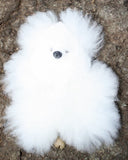 Alpaca Pocket Teddy Bears