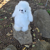 Alpaca Poodle Dog