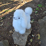 Alpaca Poodle Dog
