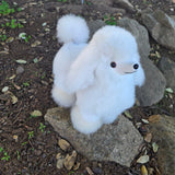 Alpaca Poodle Dog