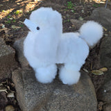 Alpaca Poodle Dog
