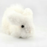 6" Fur Alpaca Bunnies
