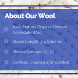 Corriedale Collection | Autumn by the Sea Bundle of Dyed Wool Tops | 150 Grams, 26 Micron