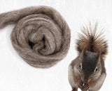 Furry Friends Variety Pack | Carded Corriedale Wool Sliver | 5 Colors