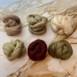 Shetland Collection | Mocha Mushroom Bundle of Dyed Wool Tops | 150 Grams, 29 Micron