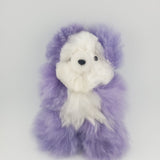 Alpaca Pocket Teddy Bears