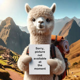 Premium Alpaca Fur Bunnies