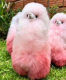 Premium Alpaca Fur Toys Collection